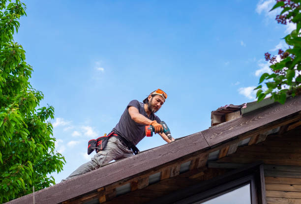 Best Chimney Flashing Repair  in Gardnerville, NV