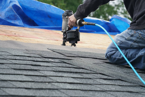 Best Chimney Flashing Repair  in Gardnerville, NV