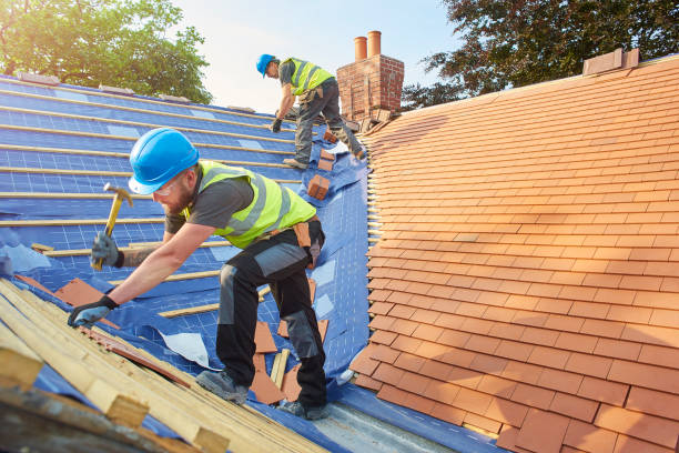 Gardnerville, NV Roofing services Company